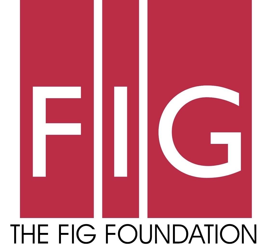 The FIG Foundation